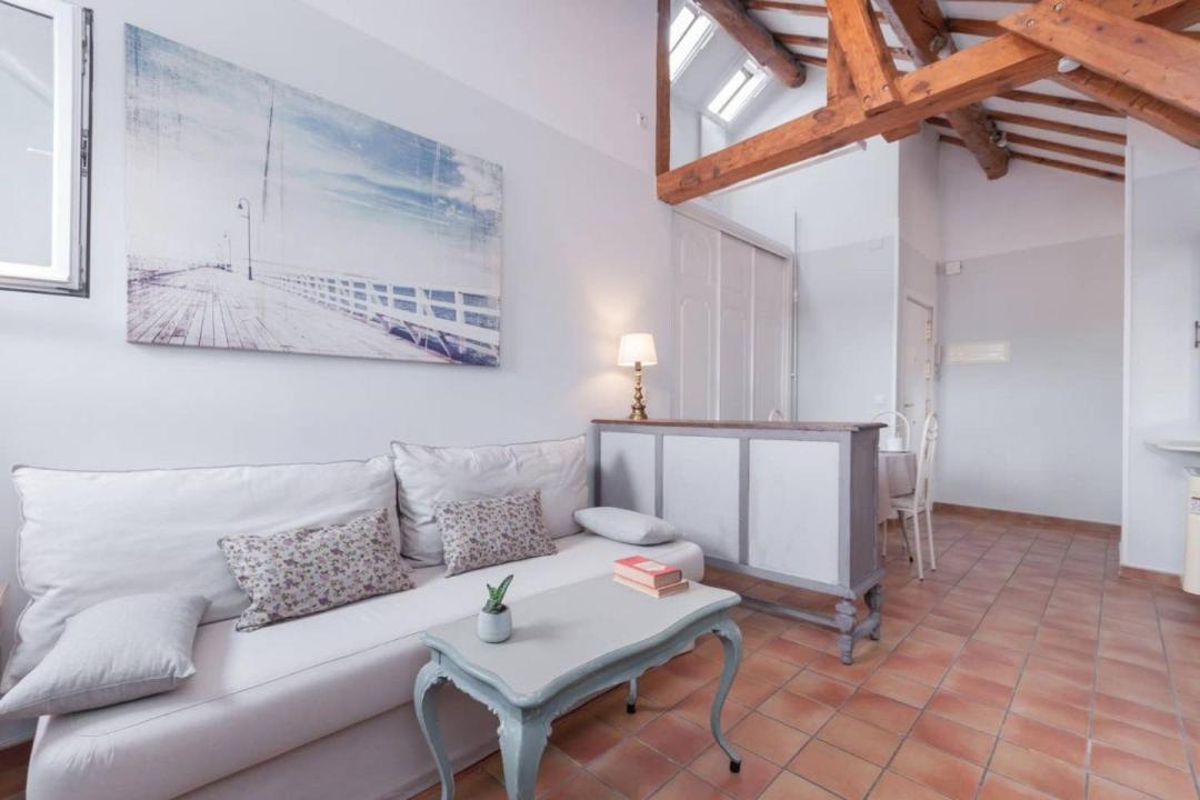 Cozy One-Bedroom Penthhouse La Latina マドリード エクステリア 写真